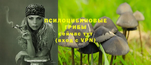 PSILOCYBIN Аркадак