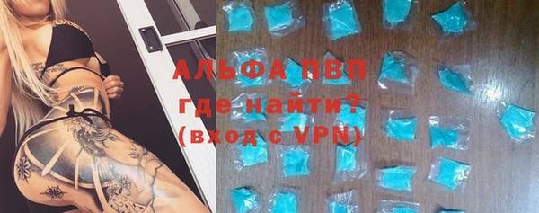 PSILOCYBIN Аркадак